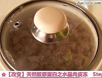 天然胶原蛋白之水晶肉皮冻做法第十步骤