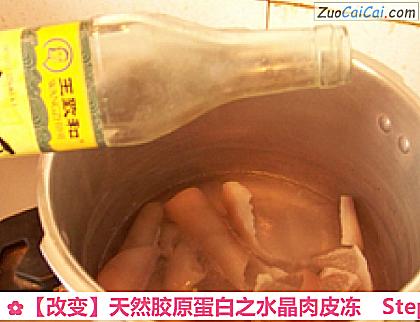 天然胶原蛋白之水晶肉皮冻做法第三步骤