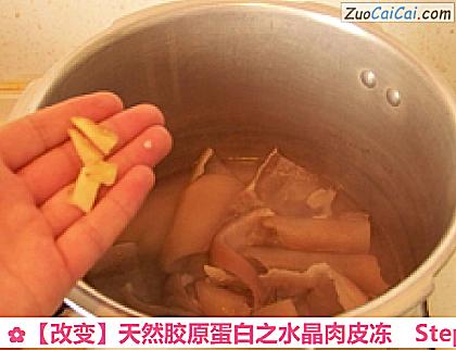 天然胶原蛋白之水晶肉皮冻做法第四步骤