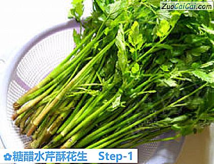 糖醋水芹酥花生做法第一步骤