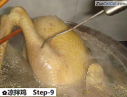 凉拌鸡做法第九步骤