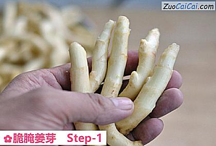 脆腌姜芽做法第一步骤