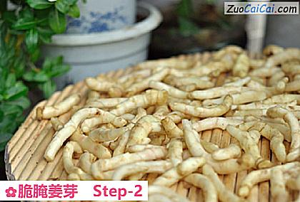 脆腌姜芽做法第二步骤