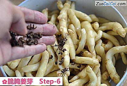 脆腌姜芽做法第六步骤