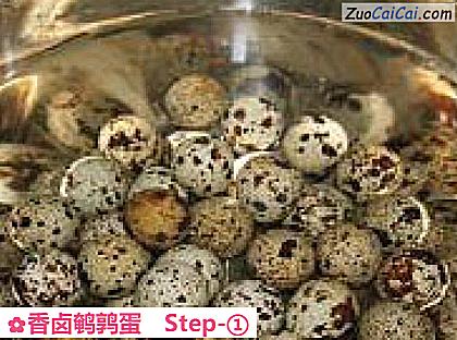 香卤鹌鹑蛋做法第一步骤