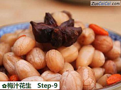 梅汁花生做法第九步骤