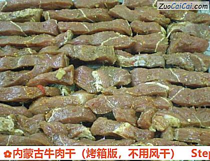 内蒙古牛肉干做法第四步骤