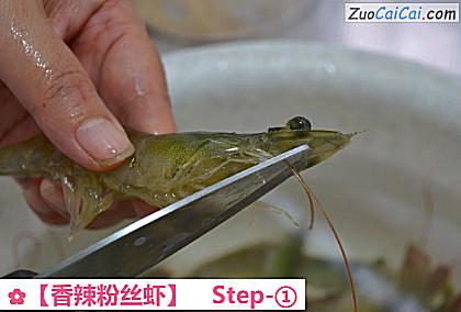 香辣粉丝虾做法第一步骤