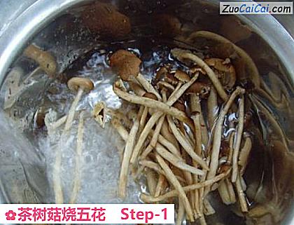 茶树菇烧五花做法第一步骤