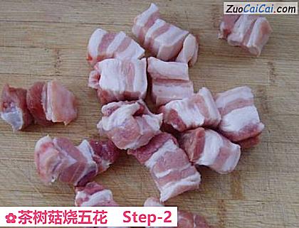 茶树菇烧五花做法第二步骤