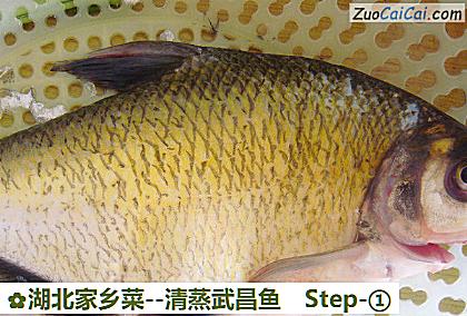 清蒸武昌鱼做法第一步骤