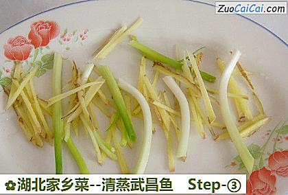 清蒸武昌鱼做法第三步骤