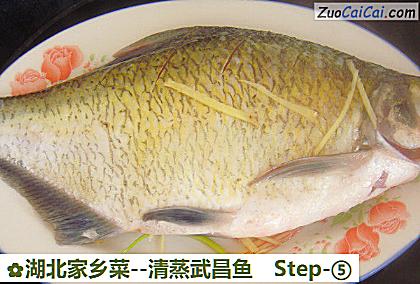 清蒸武昌鱼做法第五步骤