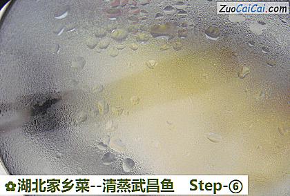 清蒸武昌鱼做法第六步骤