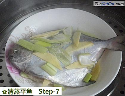 清蒸平鱼做法第七步骤