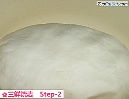 三鲜烧麦做法第二步骤