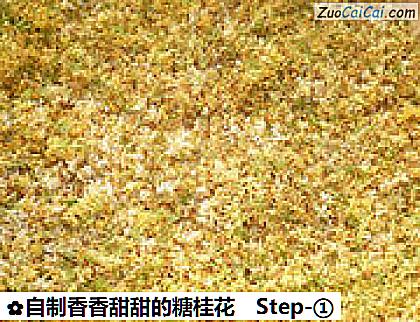 自制香香甜甜的糖桂花做法第一步骤