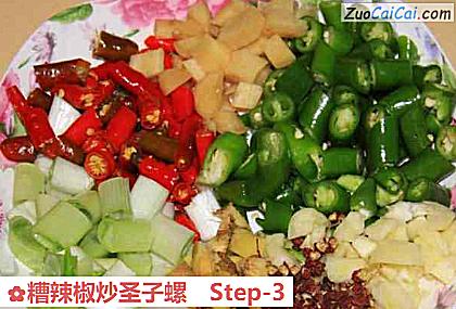 糟辣椒炒圣子螺做法第三步骤