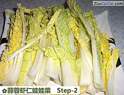 蒜蓉虾仁娃娃菜做法第二步骤