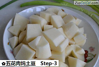 五花肉炖土豆做法第三步骤