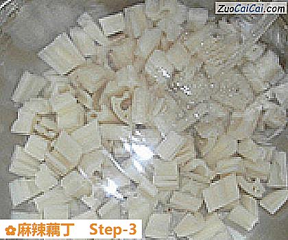 麻辣藕丁做法第三步骤
