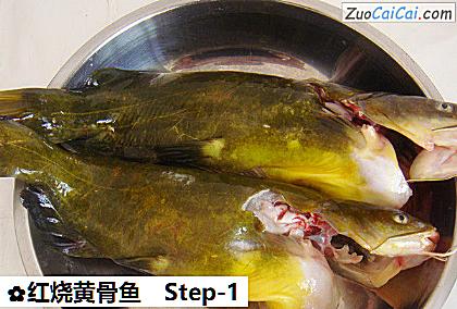 红烧黄骨鱼做法第一步骤