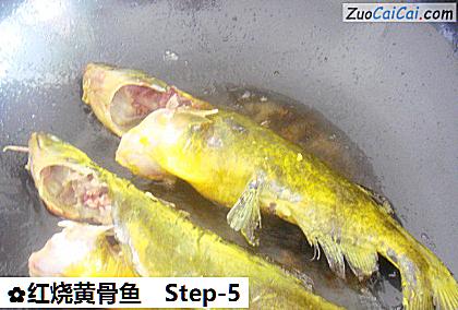 红烧黄骨鱼做法第五步骤