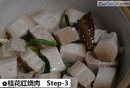 桂花红烧肉做法第三步骤
