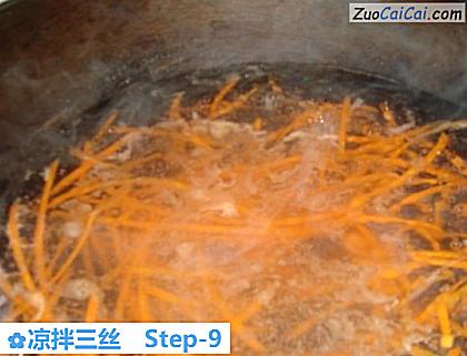 凉拌三丝做法第九步骤