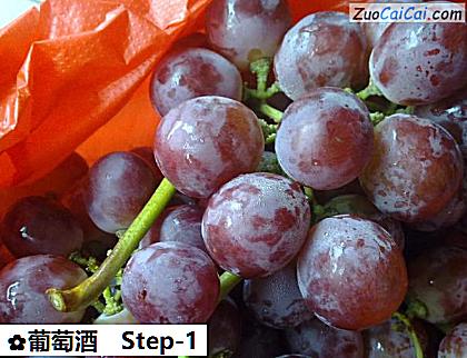 葡萄酒做法第一步骤