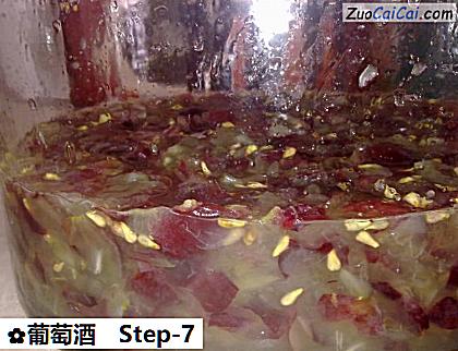 葡萄酒做法第七步骤