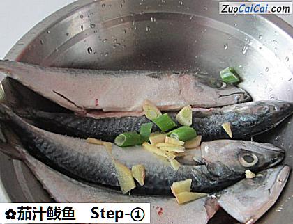茄汁鲅鱼做法第一步骤