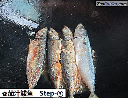 茄汁鲅鱼做法第三步骤