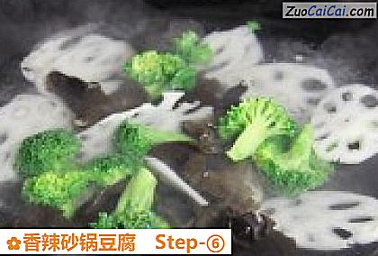 香辣砂锅豆腐做法第六步骤