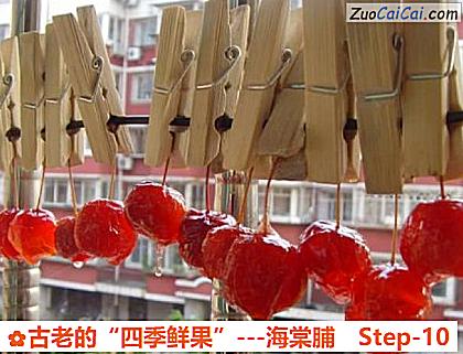 古老的“四季鲜果”－海棠脯做法第十步骤