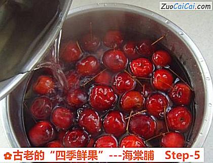 古老的“四季鲜果”－海棠脯做法第五步骤