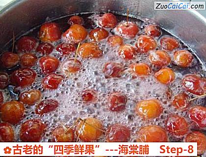古老的“四季鲜果”－海棠脯做法第八步骤