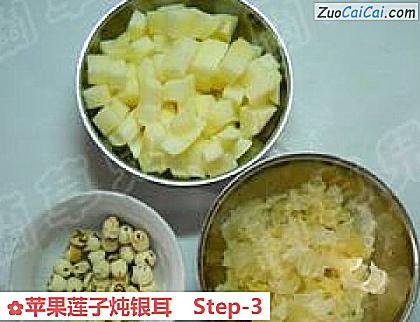 苹果莲子炖银耳做法第三步骤