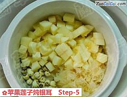 苹果莲子炖银耳做法第五步骤
