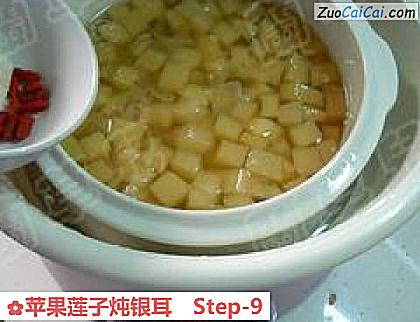 苹果莲子炖银耳做法第九步骤