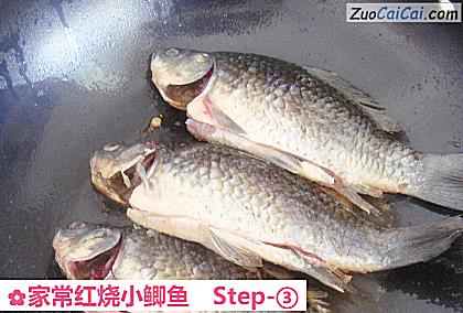 家常红烧小鲫鱼做法第三步骤