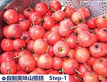 自制美味山楂糕做法第一步骤