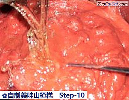 自制美味山楂糕做法第十步骤