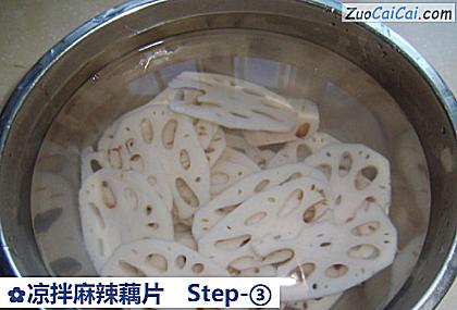 凉拌麻辣藕片做法第三步骤