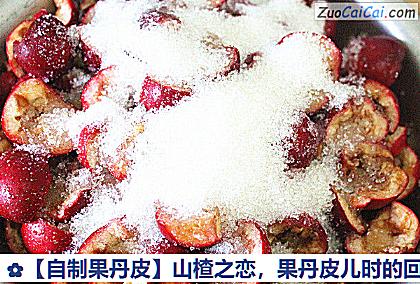 自制果丹皮做法第二步骤