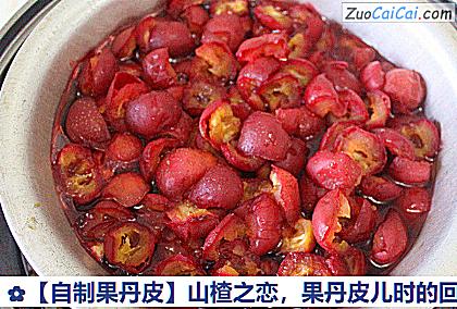 自制果丹皮做法第三步骤