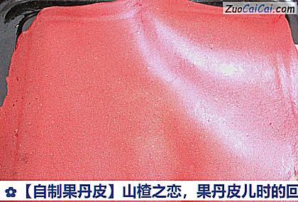 自制果丹皮做法第七步骤