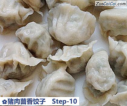猪肉茴香饺子做法第十步骤