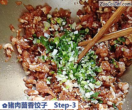 猪肉茴香饺子做法第三步骤