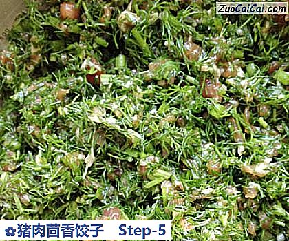 猪肉茴香饺子做法第五步骤